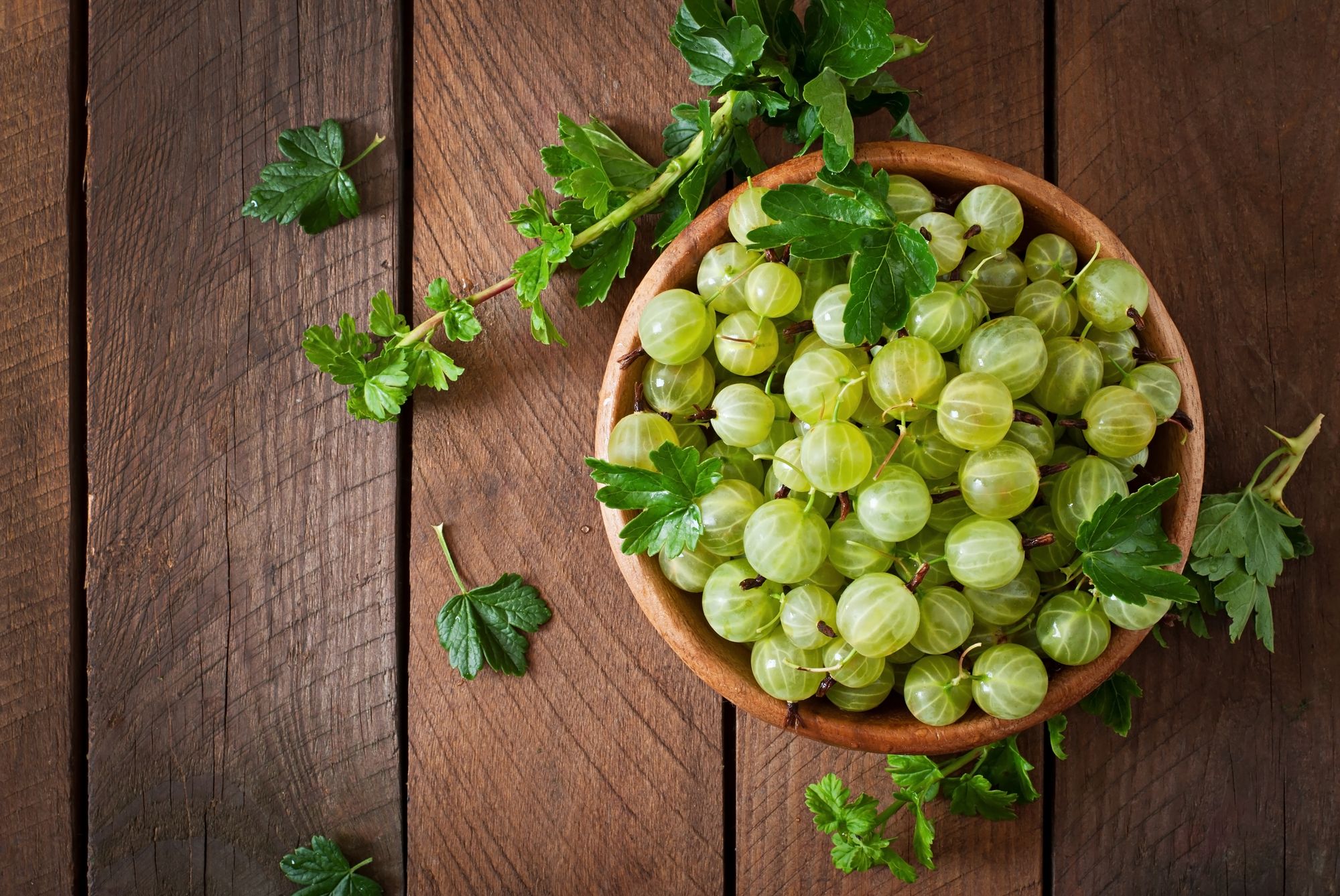 "Uses of amla"आवले के अमूल्य गुण और फायदे /Invaluable Benefits and Uses of Indian Gooseberries