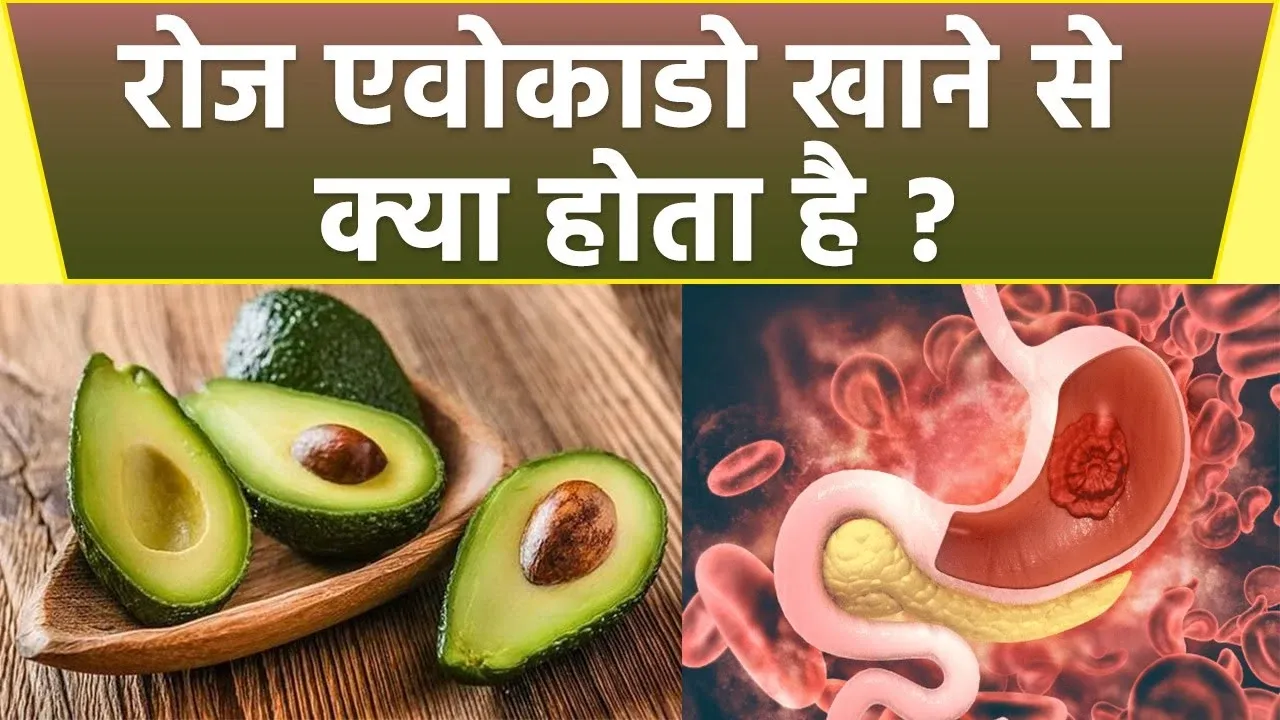 एवोकाडो (Avocado): उपयोग, लाभ और साइड इफ़ेक्ट!avocados meaning  in hindi