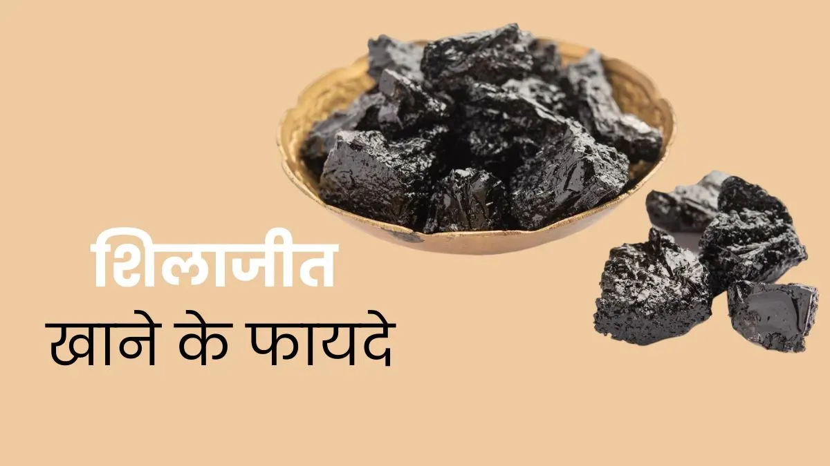 Shilajit:शिलाजीत के लाभ Shilajit ke Fayde Hindi Mein