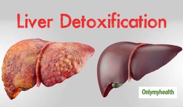 LIVER DETOX:लिवर डिटॉक्स घर पर ही हो जाएगा बस इतना करे