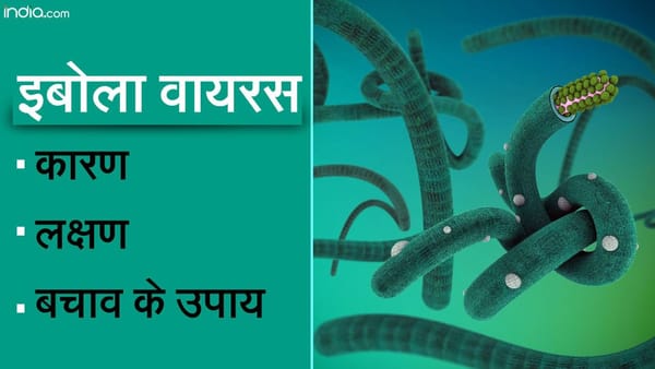 Ebola virus :इबोला वायरस कैसे फेलता है?कारण, लक्षण और उपाय.