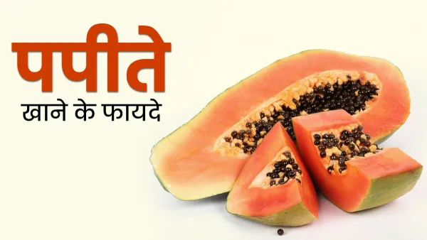 पपीता (Papaya in Hindi): उपयोग, फ़ायदे, न्यूट्रिशनल वैल्यू आदि!